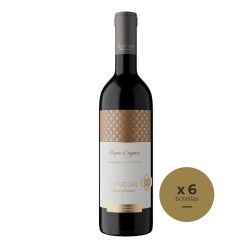 Magno Corpore CABERNET...