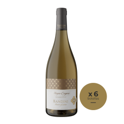Magno Corpore CHARDONNAY